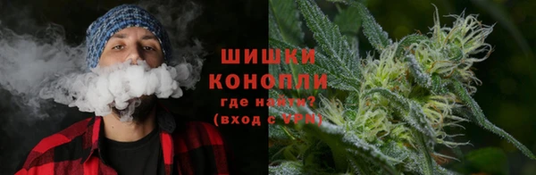 гидра Алексин