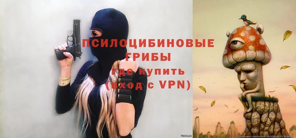 гидра Алексин