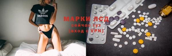 гидропоника Алзамай