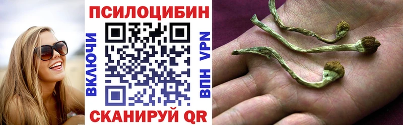 Псилоцибиновые грибы Cubensis  Глазов 